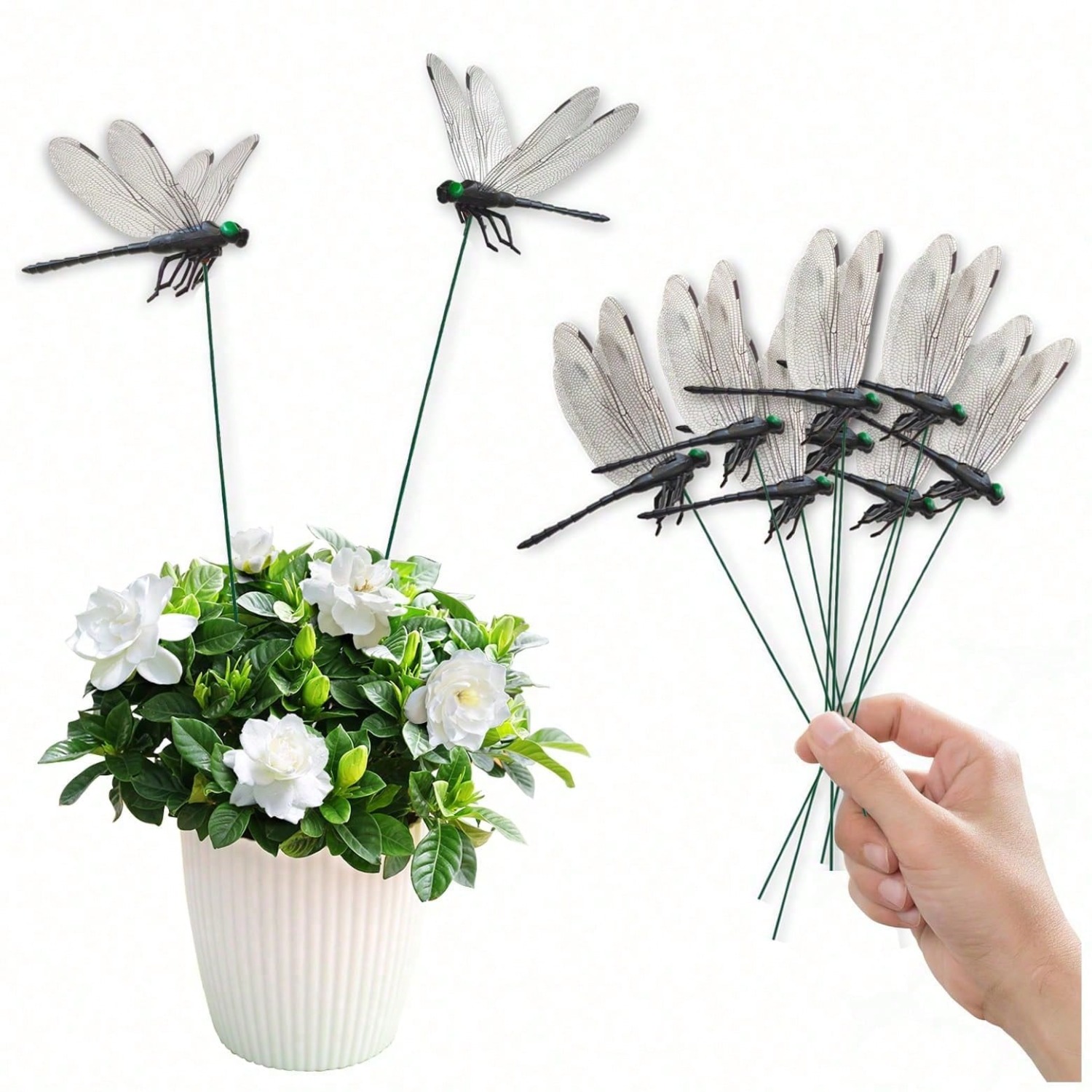 10 Pcs Dragonfly Decorative S, - 3D Printing Vase 评论和价格