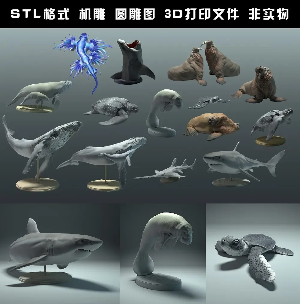 animals, polar bear, takin, wo - 3D Printing File Free 评论和价格